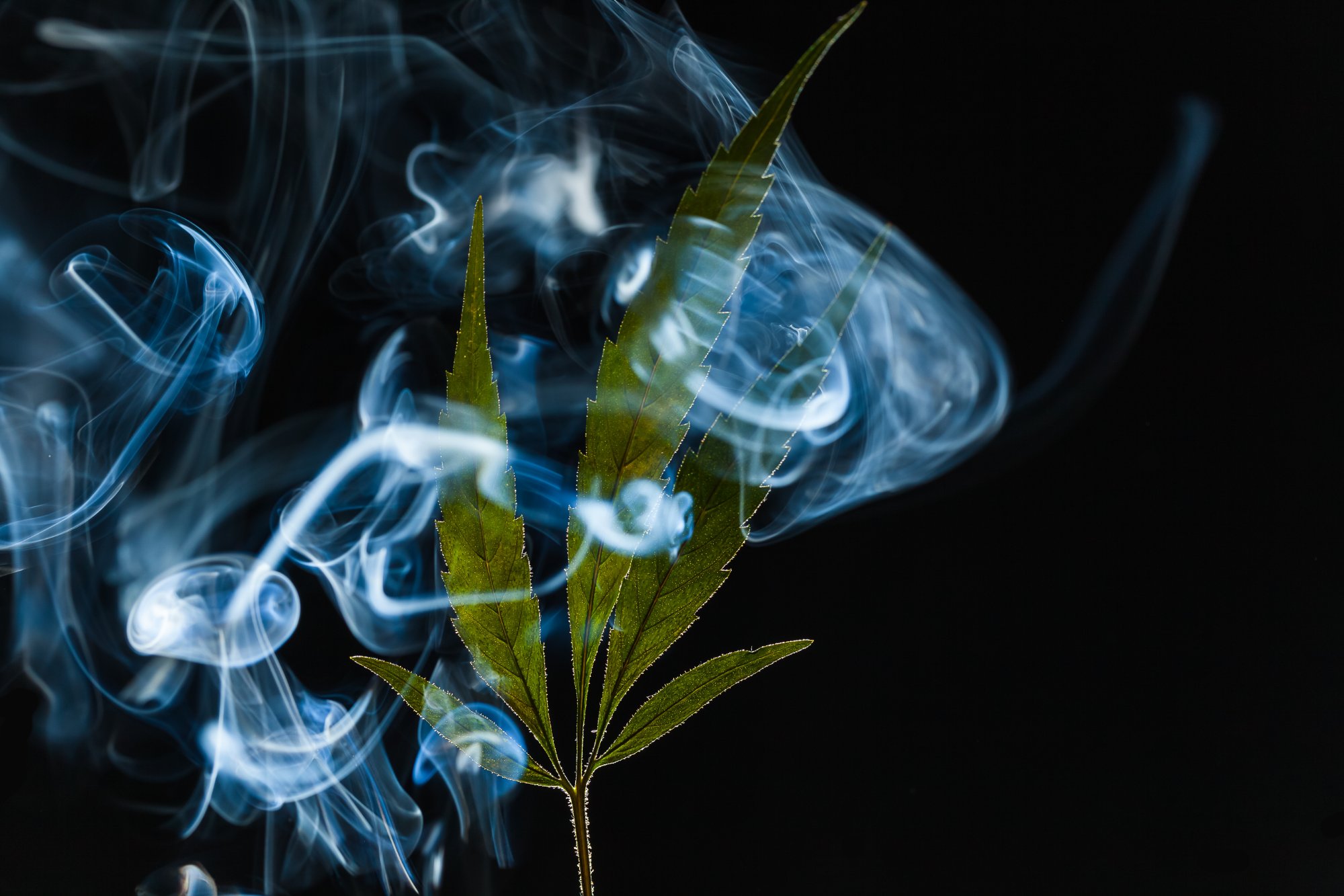 Smoke curling upward against a dark background
