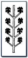 Hyacinth motif from an Oriental rug